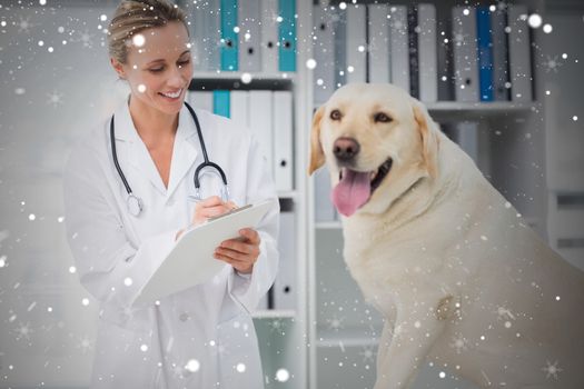 Composite image of veterinarian writing prescription for dog against snow