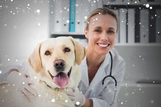 Composite image of dog with female veterinarian against snow