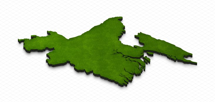 Illustration of a green ground map of Bangladesh on grid background. Right 3D isometric perspective projection.