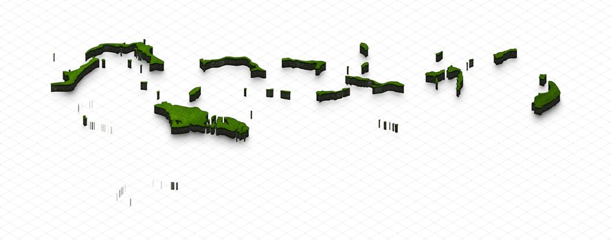 Illustration of a green ground map of Bahamas on grid background. Right 3D isometric perspective projection.