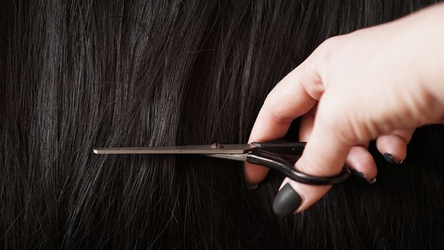 Wig and scissors - bright black wig - hairstyle background