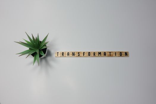 The word Transformation written in wooden letter tiles on a white background.  Concept business change, strategy, and technology.