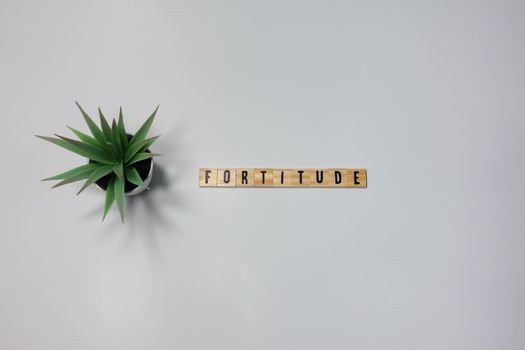 The word Fortitude written in wooden letter tiles on a white background.  Concept strength in business, health or sports.
