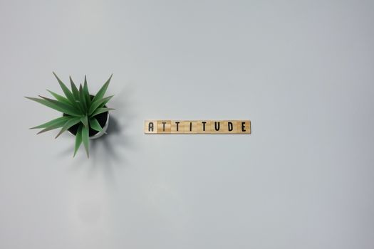 The word Attitude written in wooden letter tiles on a white background.  Concept attitude in business, life and happiness.