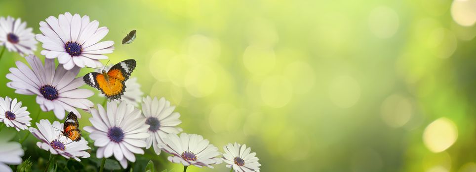 flower Leaf background bokeh blur green background