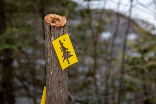 A yellow plastic trail marker sign is nailed to a severed branch, and contains the cut-out shape of an evergreen tree.