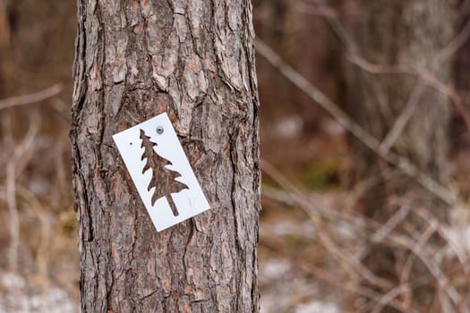 A white plastic trail marker sign is nailed to a tree, and contains the cut-out shape of an evergreen tree.