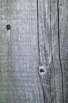 A weathered wooden board on a faded fence is viewed up close in a textured background image.