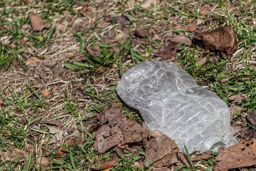 A plastic water bottle has been flattened and sits on the grass outside.
