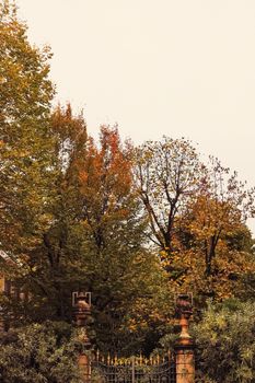 Autumn nature in park, fall leaves and trees outdoors, beautiful season in Milan, Lombardy region in Northern Italy