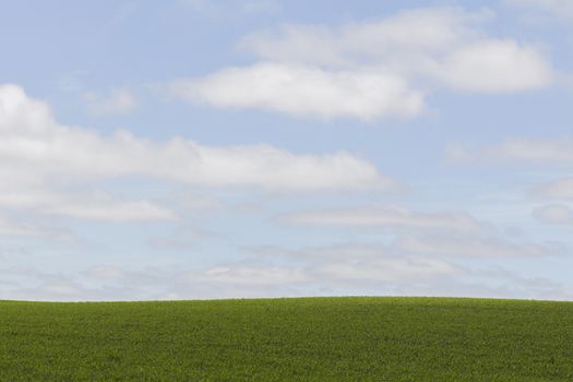 Horizon of a green meadow with cloudy sky