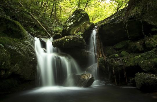 Stream of water between moss-covered rocks in a lush green forest