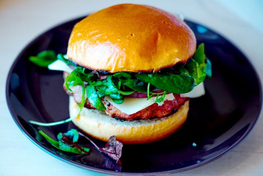 Homemade cheese burger on a plate