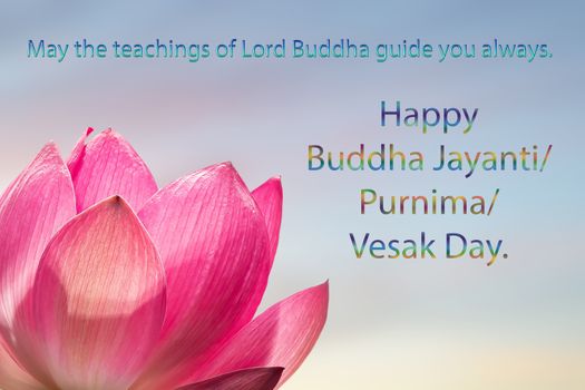 Congratulations to the Buddhist celebration of Buddha's birthday, called Vesak Day, Buddhist lent, the Buddha's birthday, the worship of Buddha Purnima. Text on a pink Lotus flower background.