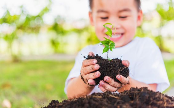 World Environment Day Environment Concept, Hand of Asian cute little cheerful child boy holding young tree on black soil ready to plan on green garden background