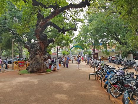 Tiruvanamalai, India - 15 december 2019: Ramana Ashram in Tiruvanamalai India