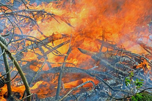 Fire in the forest in Portugal