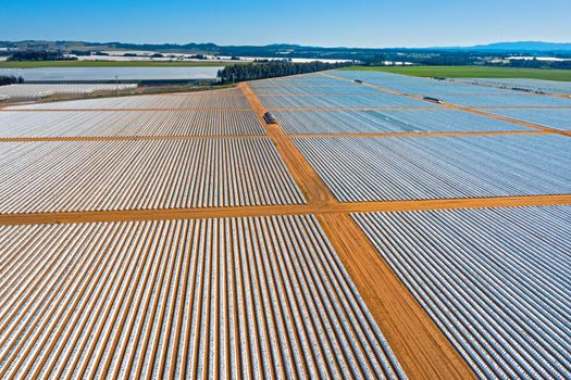 Aerial from strawberry plants in the countryside from Portugal