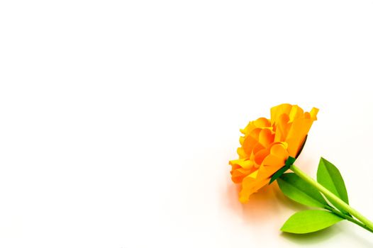 Orange flower paper on isolated background with clipping path. Origami flower for your design.