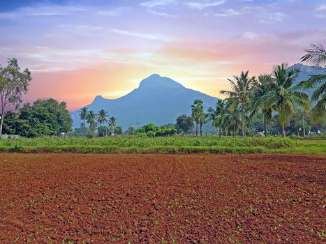 The holy mountain Arunachala in Tiruvanamalai Tamil Nadu India at sunset