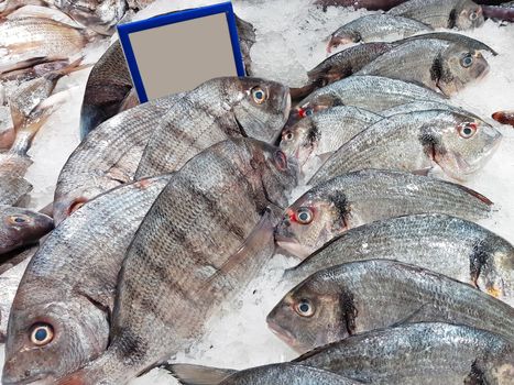 Bream in ice for sale