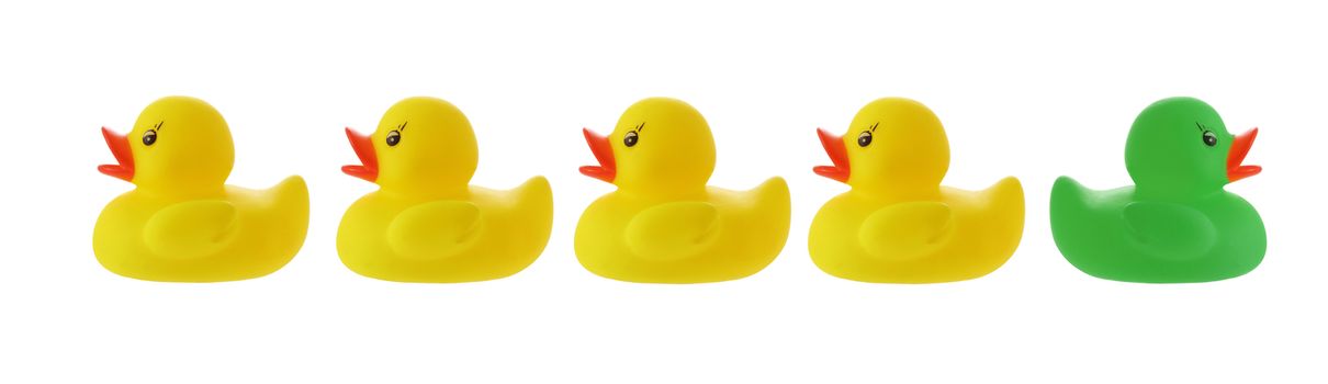 Yellow ducks in a row with green duck going wrong way isolated on white with clipping path