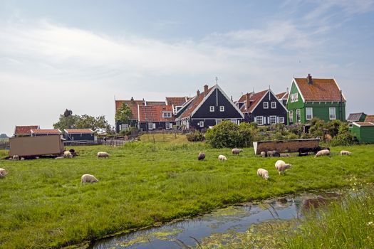 Traditional dutch houses in the countryside from the Netherlands in spring