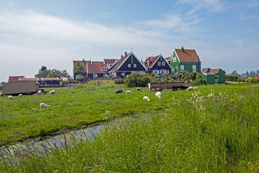 Traditional dutch houses in the countryside from the Netherlands in spring