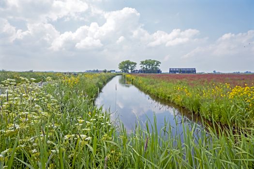 Typical dutch view in the countryside from the Netherlands in spring