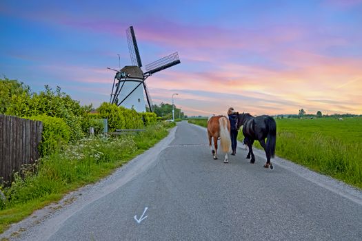 Dutch landscape with a traditional windmill in the countryside from the Netherlands