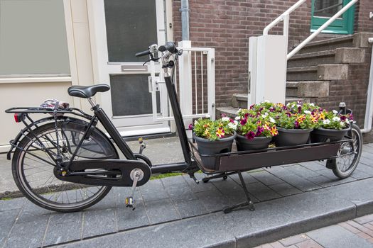 Bike cart full with flowers in the streets of Amsterdam the Netherlands