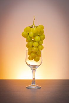 Conceptual idea of grapes in the wine glass as raw material instead of  final product