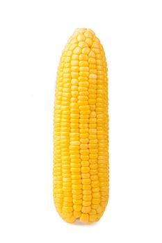 Sweet corn isolated on white background