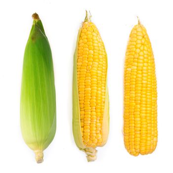 sweet corn isolated on white background