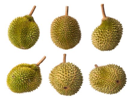 durian isolated on white background