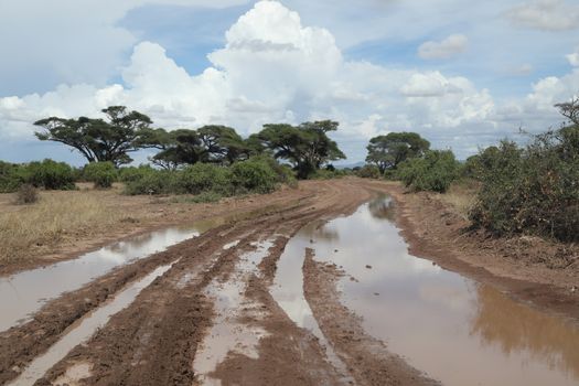 Damaged Rural Road Texture Masai Mara Kenya Africa