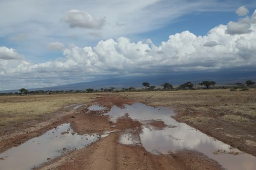 Damaged Rural Road Texture Masai Mara Kenya Africa