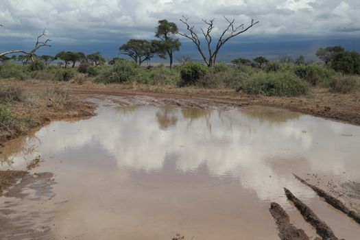 Damaged Rural Road Texture Masai Mara Kenya Africa