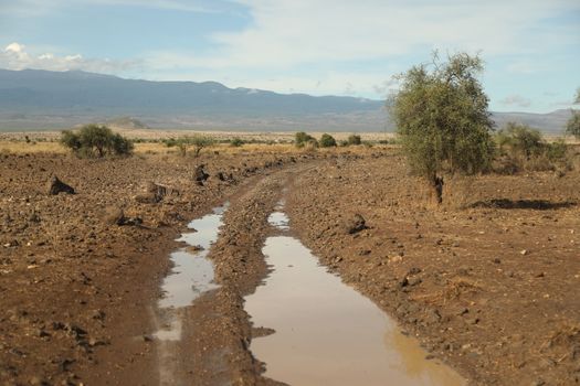 Damaged Rural Road Texture Masai Mara Kenya Africa