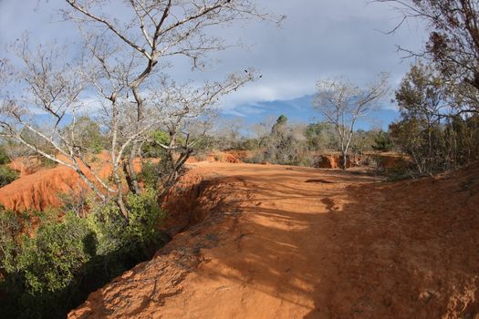 Hells Kitchen Canyon In Malindi Kenya Africa