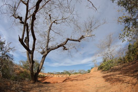 Hells Kitchen Canyon In Malindi Kenya Africa