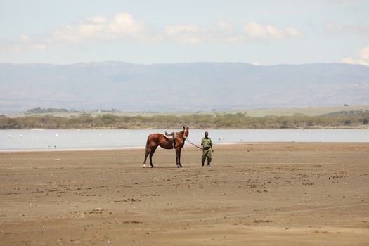 Horse Riding in water Masai Mara Kenya Africa