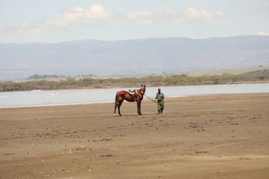 Horse Riding in water Masai Mara Kenya Africa