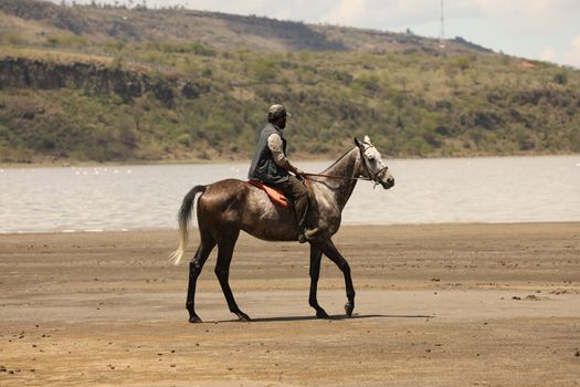 Horse Riding in water Masai Mara Kenya Africa