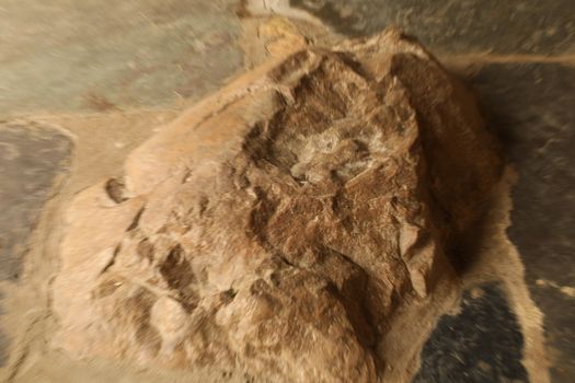 Raw stone Texture close up