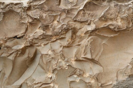 Raw stone Texture close up