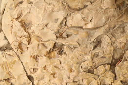 Raw stone Texture closeup