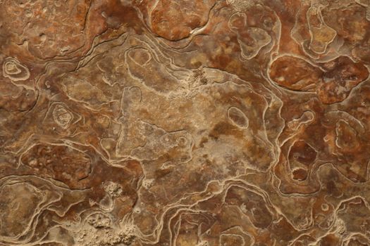 Raw stone Texture closeup