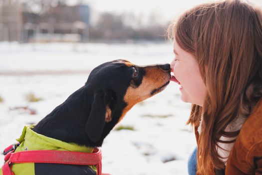 Lovely dachshund kissing her owner at a walk. Being happy with pets: dog licking a smiling young woman in the park