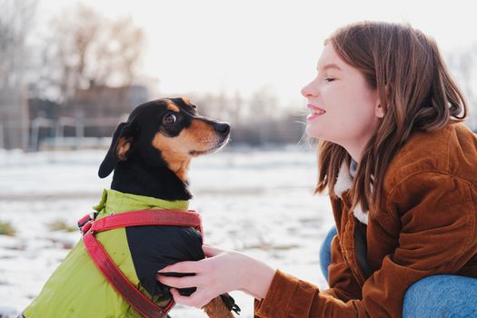 Portrait of a young woman and her lovely dachshund dog. Female and her pet at walk in the park, cold sunny day